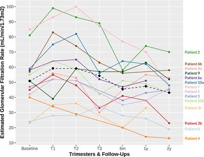 Pregnancy after kidney transplantation: an observational study on maternal, graft and offspring outcomes in view of current literature